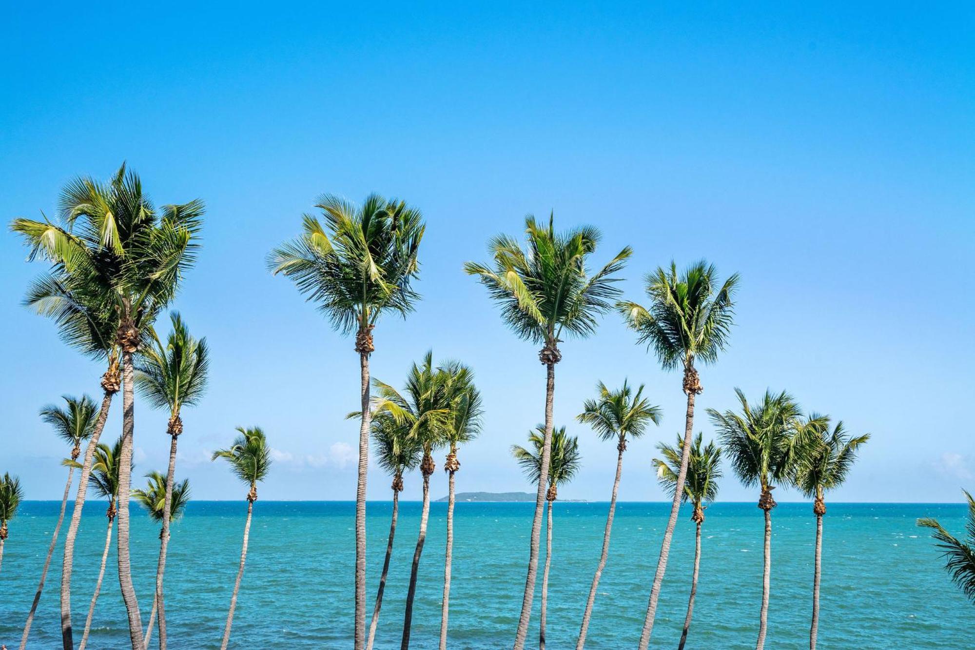 شقة Your Ocean Zen Oasis فاجاردو المظهر الخارجي الصورة